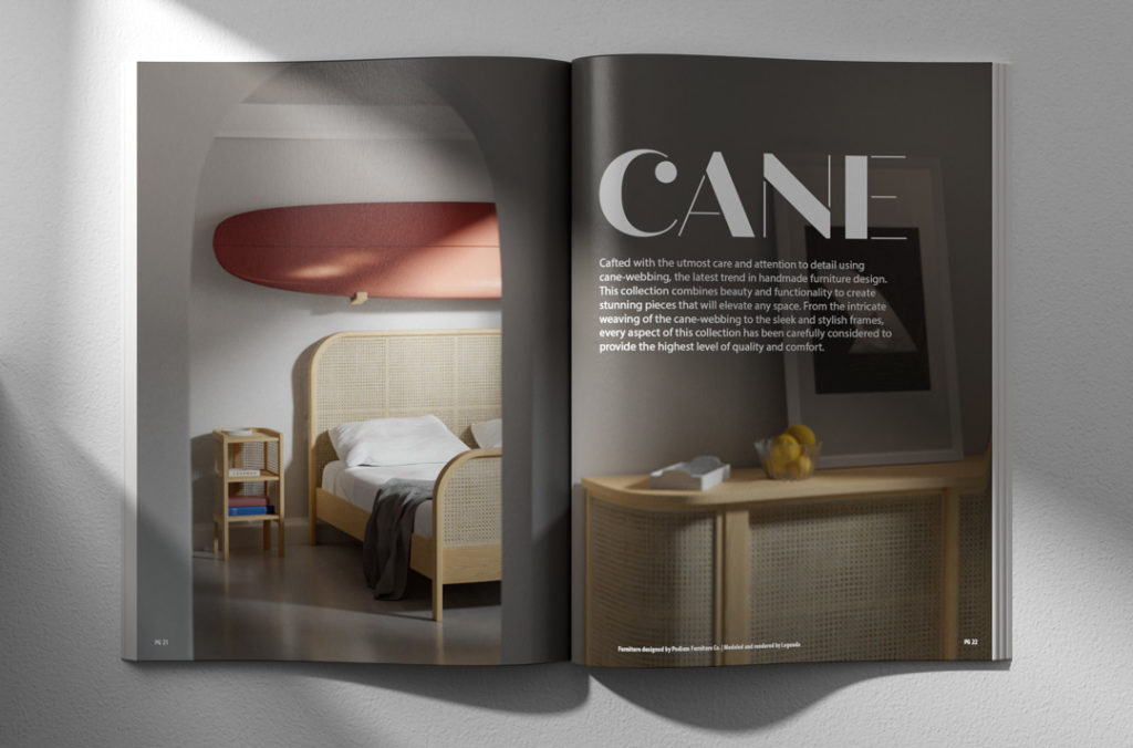 catalog mockup for cane furniture collection. 